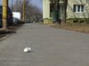 Image00006