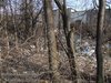 Image00017