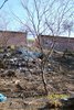 Image00006